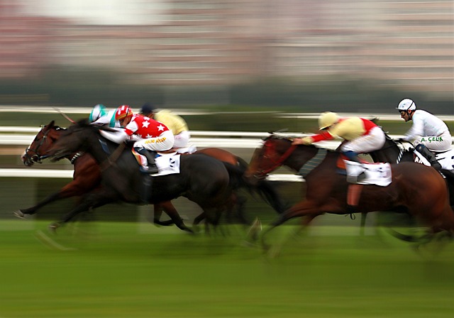 Betting with Wearables