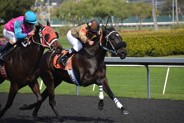 Betting with Wearables